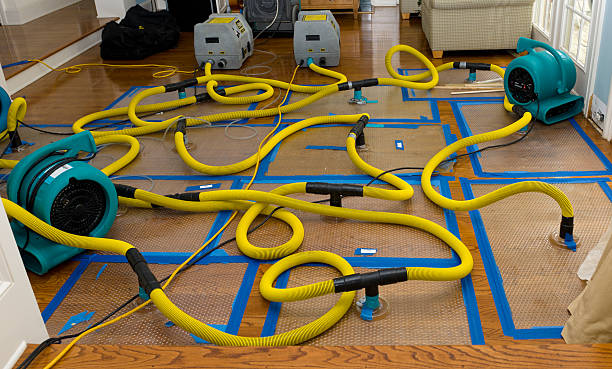 Professional Sewage Cleanup technician working in Rockwood, MI