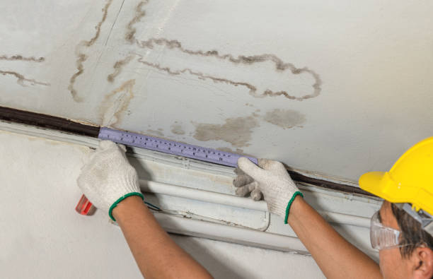 Affordable Water Damage Repair solutions in Rockwood, MI
